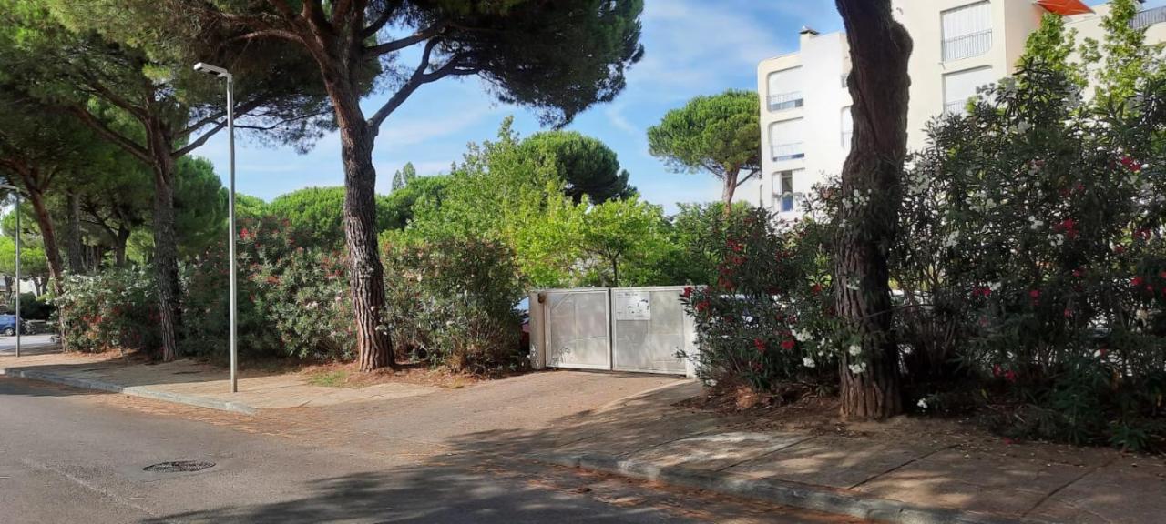T 2 Mottland 300 M Plage La Grande Motte Luaran gambar